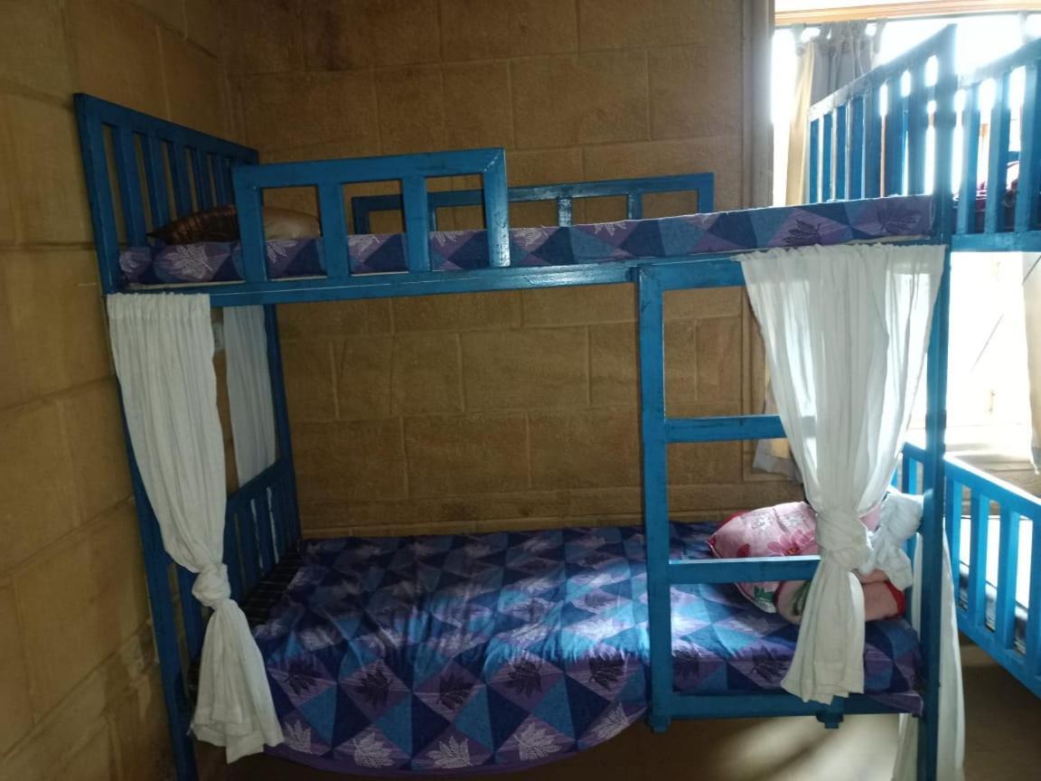 Mariyan Safari جيلسامر المظهر الخارجي الصورة