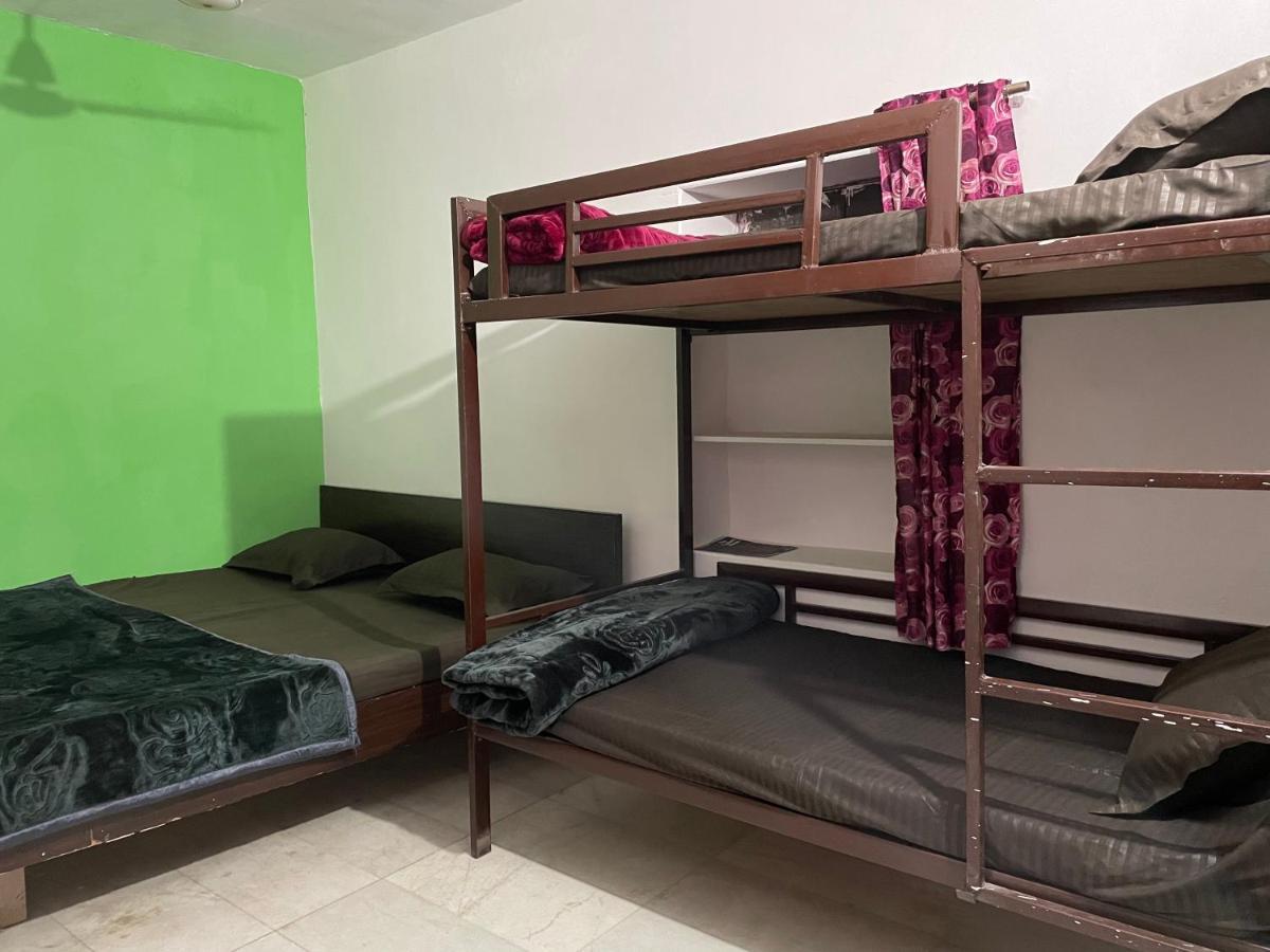 Mariyan Safari جيلسامر المظهر الخارجي الصورة