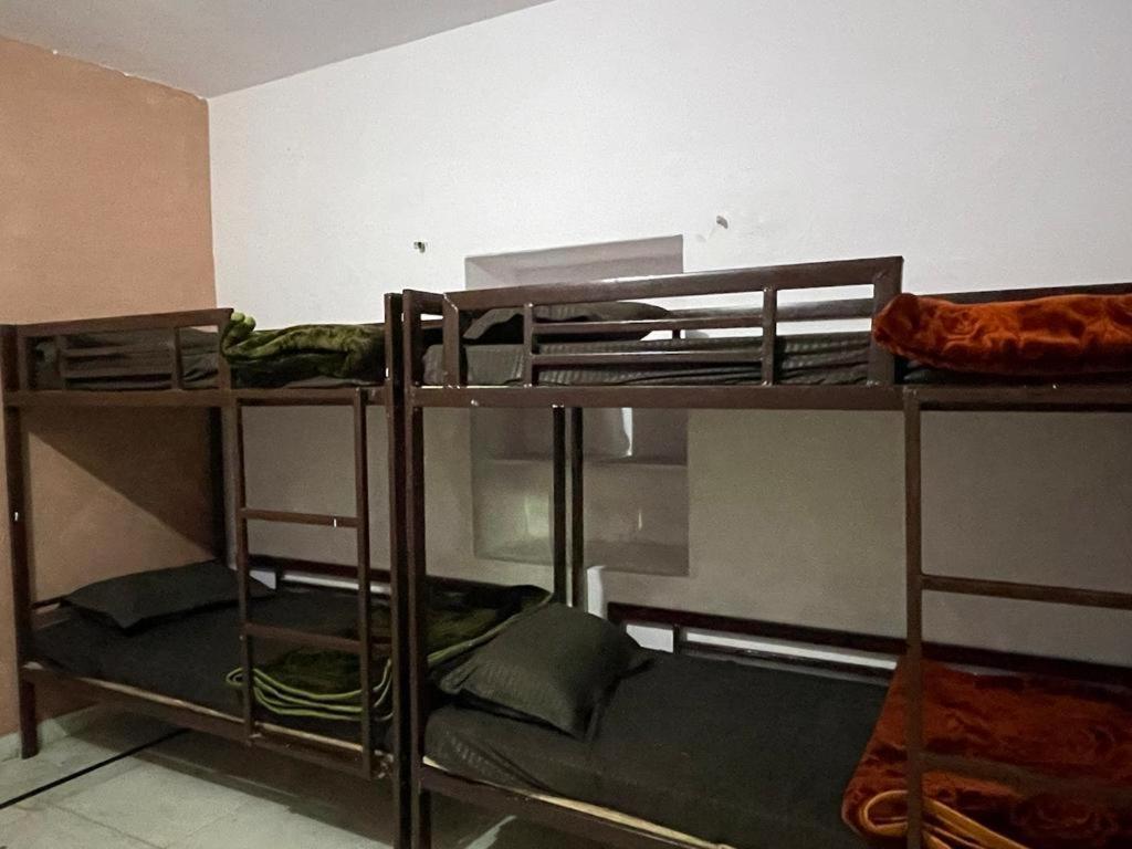 Mariyan Safari جيلسامر المظهر الخارجي الصورة